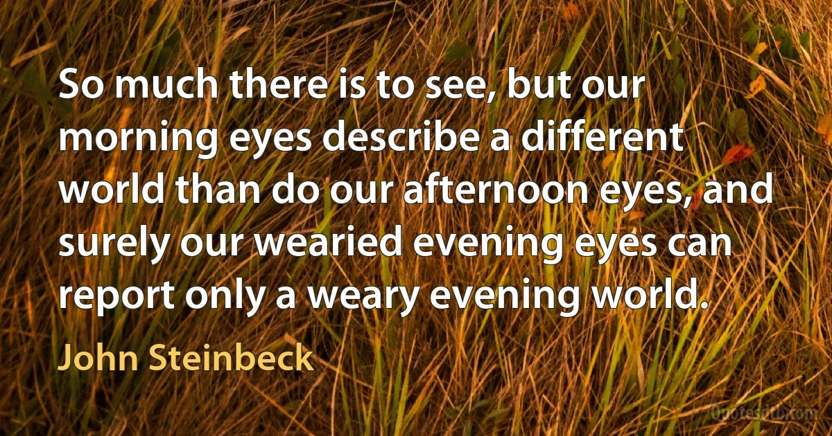 So much there is to see, but our morning eyes describe a different world than do our afternoon eyes, and surely our wearied evening eyes can report only a weary evening world. (John Steinbeck)