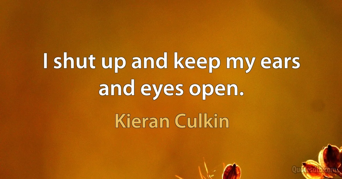 I shut up and keep my ears and eyes open. (Kieran Culkin)