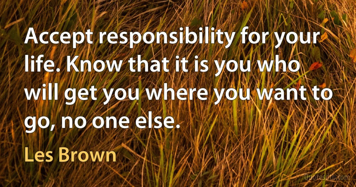 Accept responsibility for your life. Know that it is you who will get you where you want to go, no one else. (Les Brown)