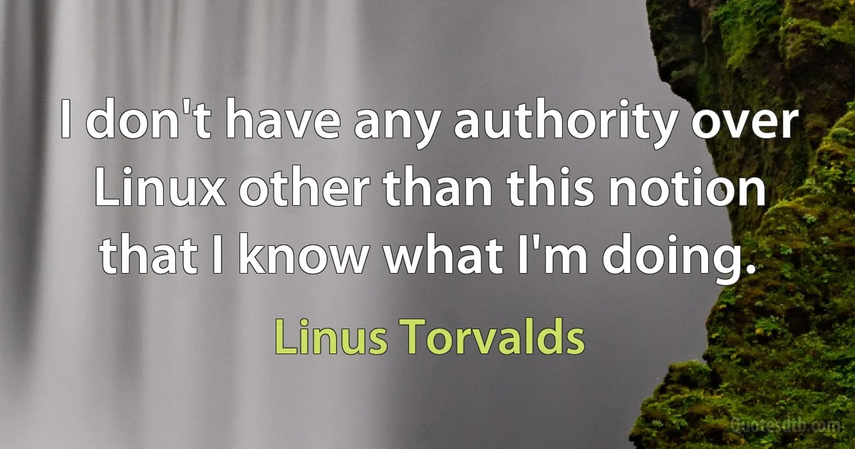 I don't have any authority over Linux other than this notion that I know what I'm doing. (Linus Torvalds)