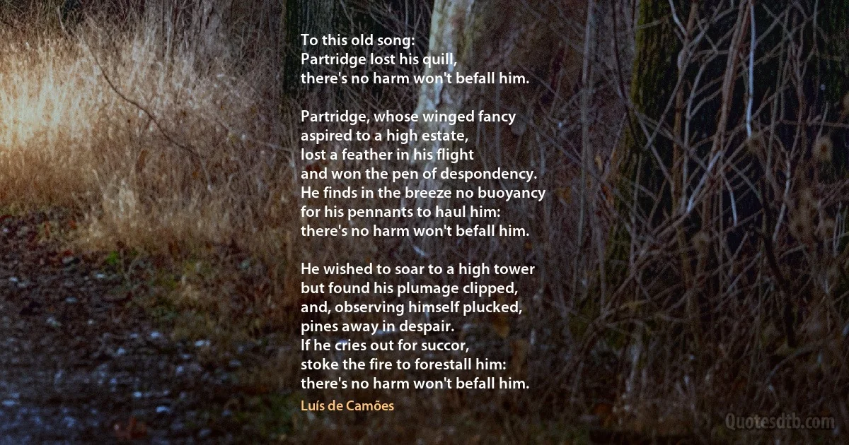 To this old song:
Partridge lost his quill,
there's no harm won't befall him.

Partridge, whose winged fancy
aspired to a high estate,
lost a feather in his flight
and won the pen of despondency.
He finds in the breeze no buoyancy
for his pennants to haul him:
there's no harm won't befall him.

He wished to soar to a high tower
but found his plumage clipped,
and, observing himself plucked,
pines away in despair.
If he cries out for succor,
stoke the fire to forestall him:
there's no harm won't befall him. (Luís de Camões)