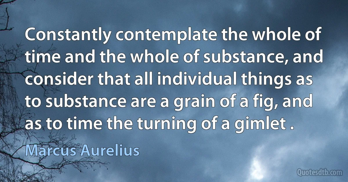 Constantly contemplate the whole of time and the whole of substance, and consider that all individual things as to substance are a grain of a fig, and as to time the turning of a gimlet . (Marcus Aurelius)