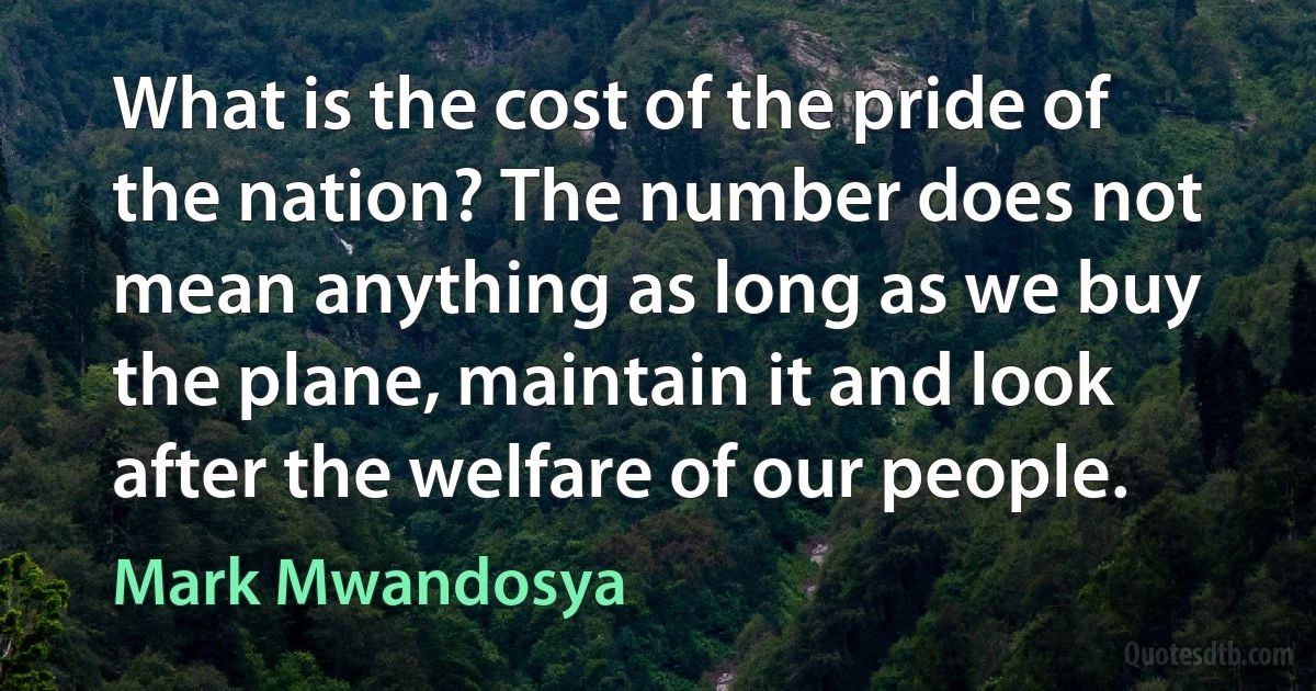 What is the cost of the pride of the nation? The number does not mean anything as long as we buy the plane, maintain it and look after the welfare of our people. (Mark Mwandosya)