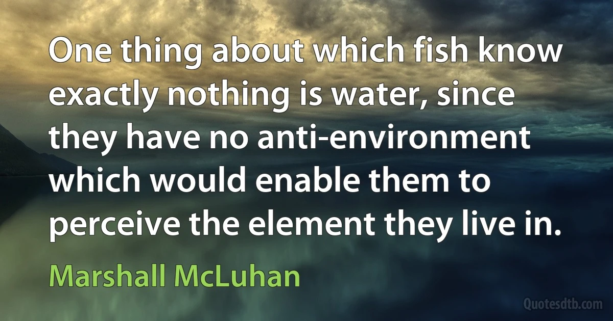 One thing about which fish know exactly nothing is water, since they have no anti-environment which would enable them to perceive the element they live in. (Marshall McLuhan)