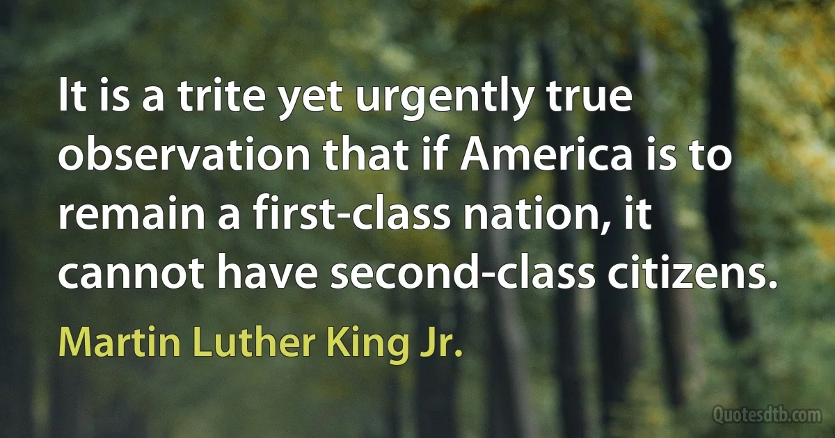 It is a trite yet urgently true observation that if America is to remain a first-class nation, it cannot have second-class citizens. (Martin Luther King Jr.)