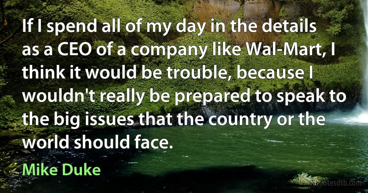 If I spend all of my day in the details as a CEO of a company like Wal-Mart, I think it would be trouble, because I wouldn't really be prepared to speak to the big issues that the country or the world should face. (Mike Duke)