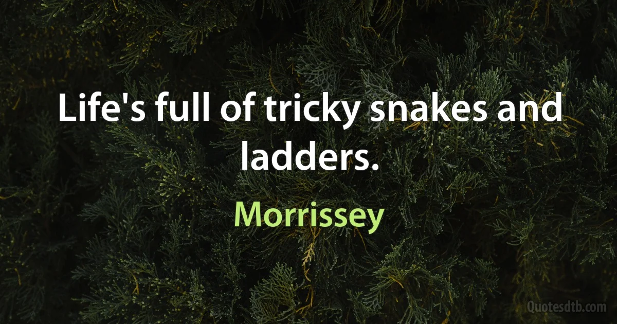 Life's full of tricky snakes and ladders. (Morrissey)