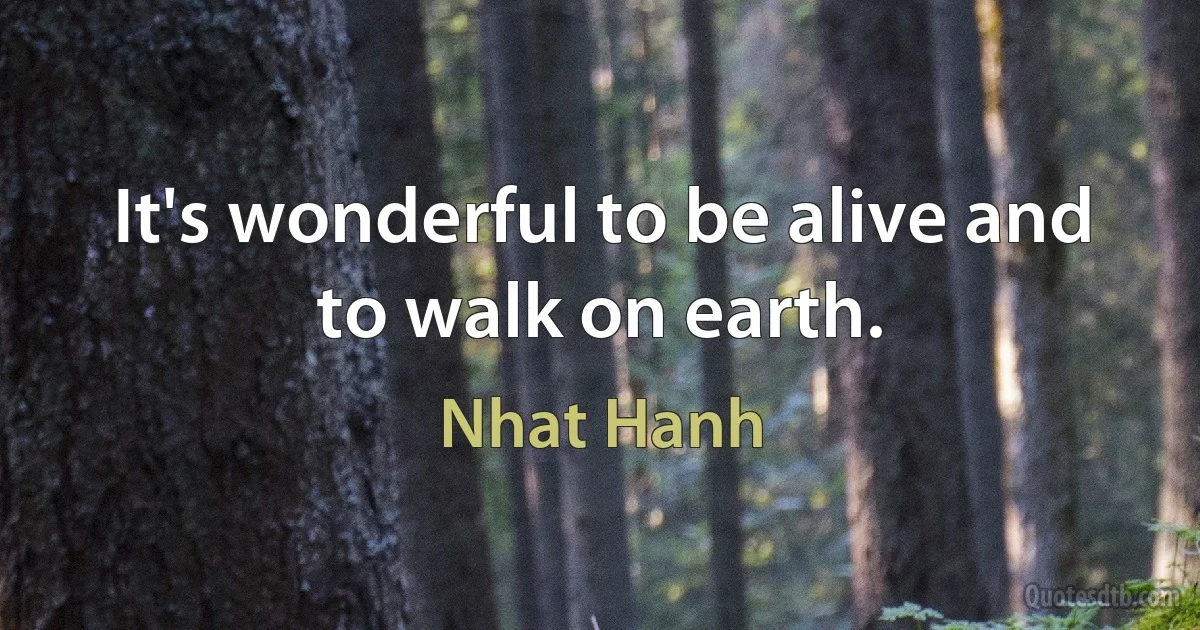 It's wonderful to be alive and to walk on earth. (Nhat Hanh)