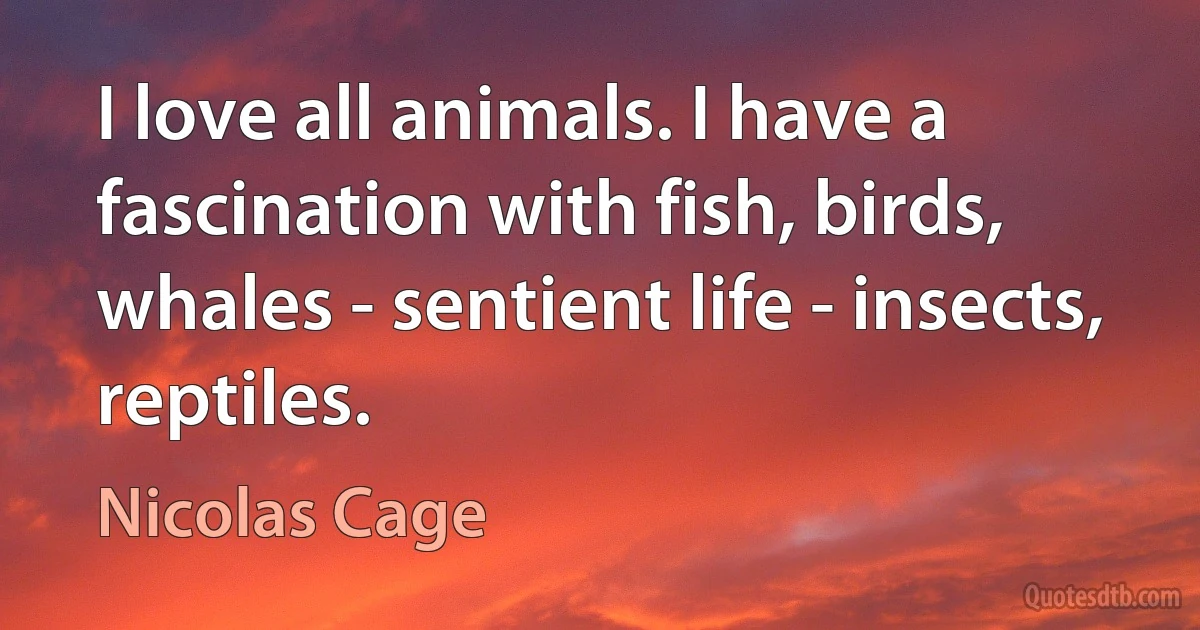 I love all animals. I have a fascination with fish, birds, whales - sentient life - insects, reptiles. (Nicolas Cage)