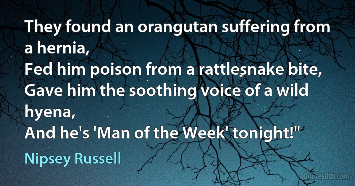 They found an orangutan suffering from a hernia,
Fed him poison from a rattlesnake bite,
Gave him the soothing voice of a wild hyena,
And he's 'Man of the Week' tonight!" (Nipsey Russell)