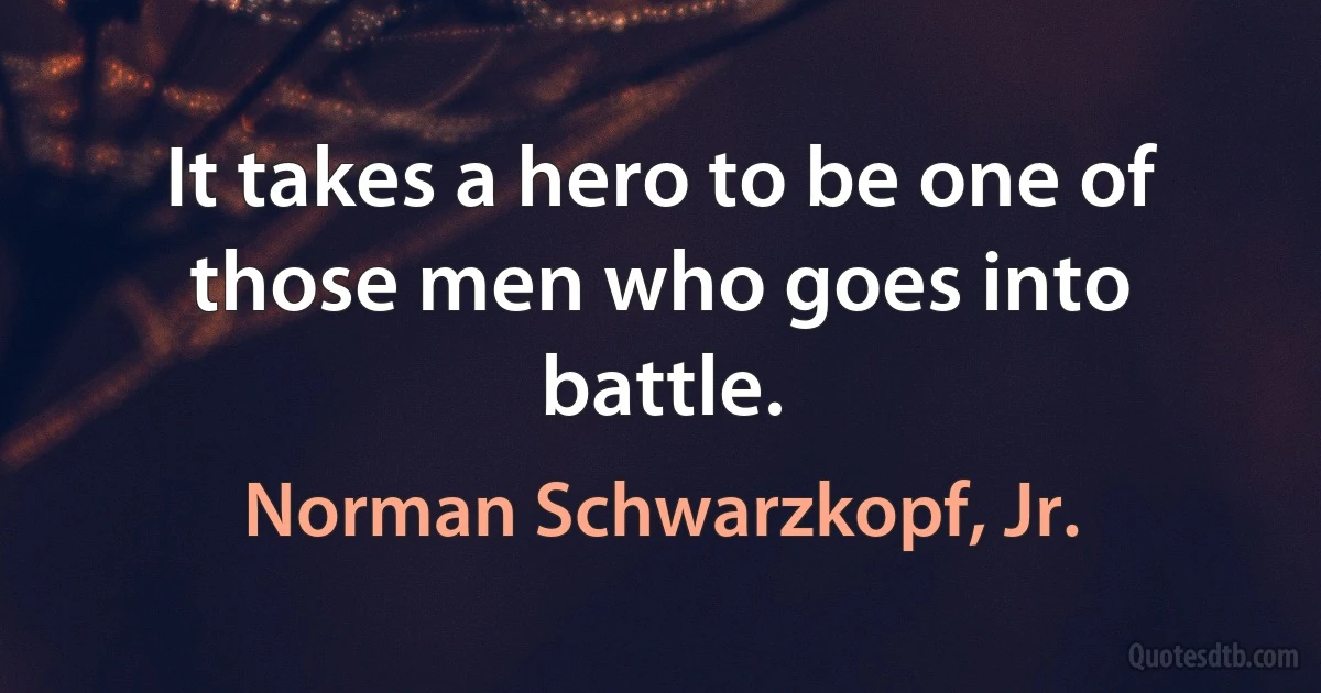 It takes a hero to be one of those men who goes into battle. (Norman Schwarzkopf, Jr.)