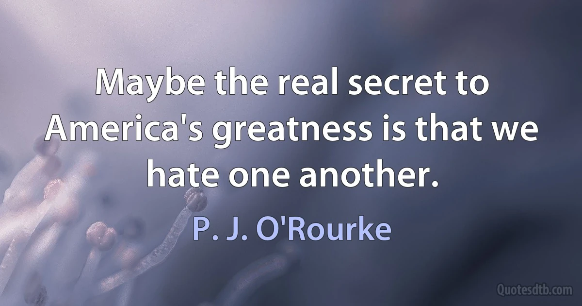 Maybe the real secret to America's greatness is that we hate one another. (P. J. O'Rourke)