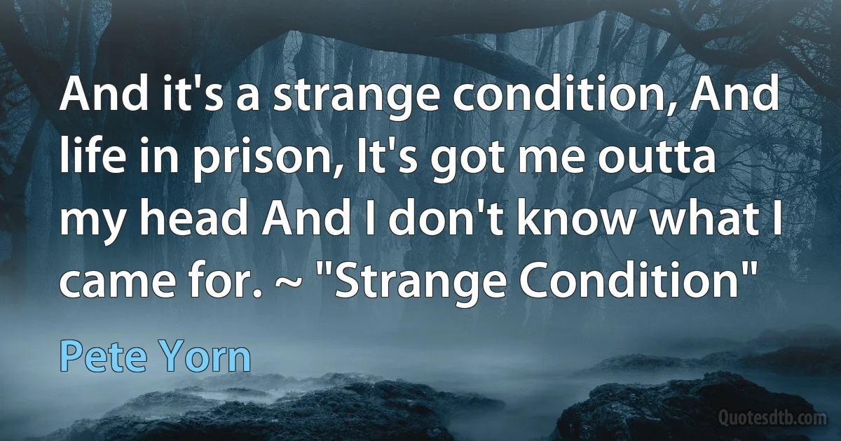 And it's a strange condition, And life in prison, It's got me outta my head And I don't know what I came for. ~ "Strange Condition" (Pete Yorn)