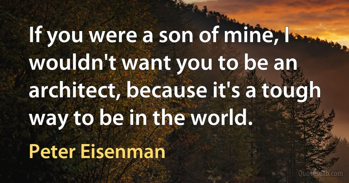 If you were a son of mine, I wouldn't want you to be an architect, because it's a tough way to be in the world. (Peter Eisenman)