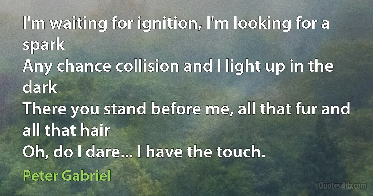 I'm waiting for ignition, I'm looking for a spark
Any chance collision and I light up in the dark
There you stand before me, all that fur and all that hair
Oh, do I dare... I have the touch. (Peter Gabriel)