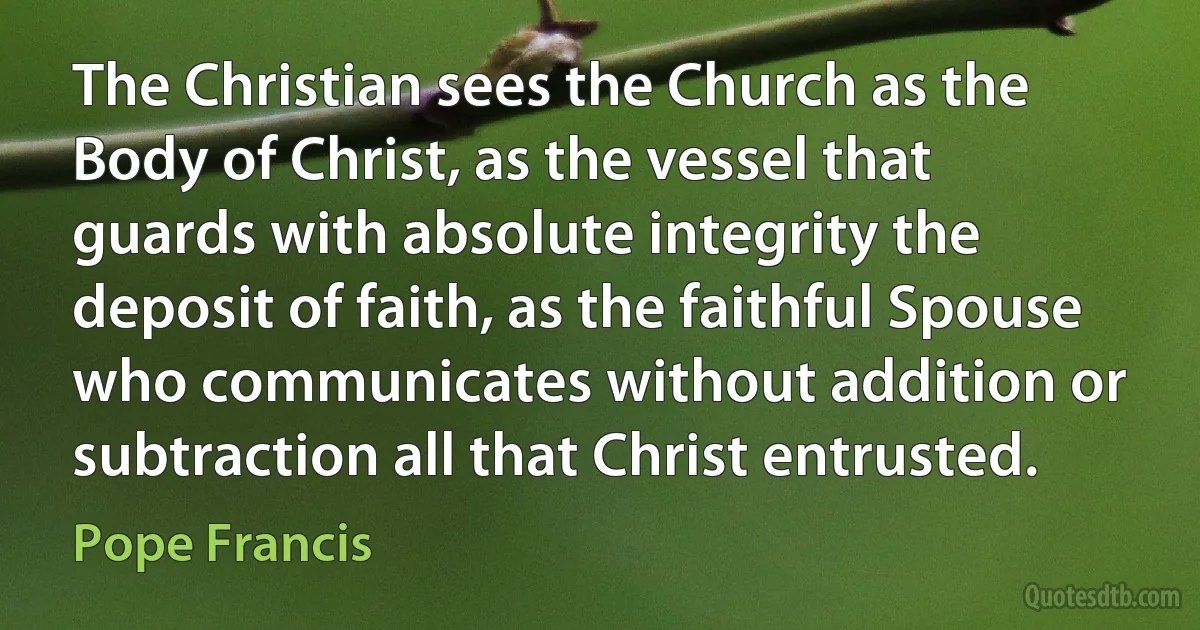 The Christian sees the Church as the Body of Christ, as the vessel that guards with absolute integrity the deposit of faith, as the faithful Spouse who communicates without addition or subtraction all that Christ entrusted. (Pope Francis)