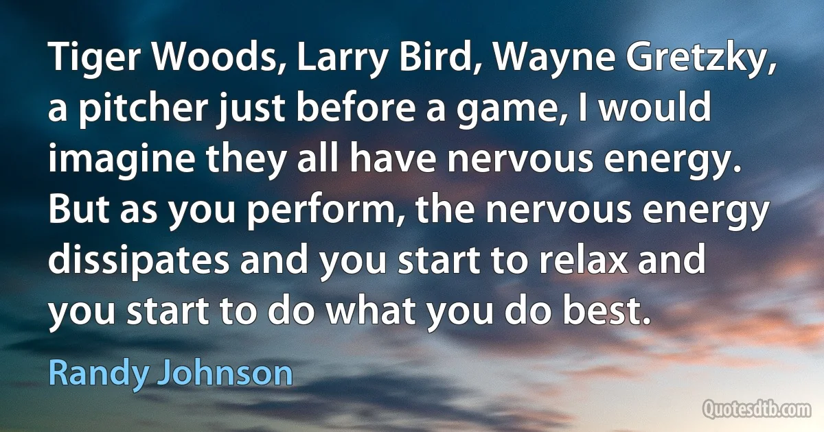 Tiger Woods, Larry Bird, Wayne Gretzky, a pitcher just before a game, I would imagine they all have nervous energy. But as you perform, the nervous energy dissipates and you start to relax and you start to do what you do best. (Randy Johnson)