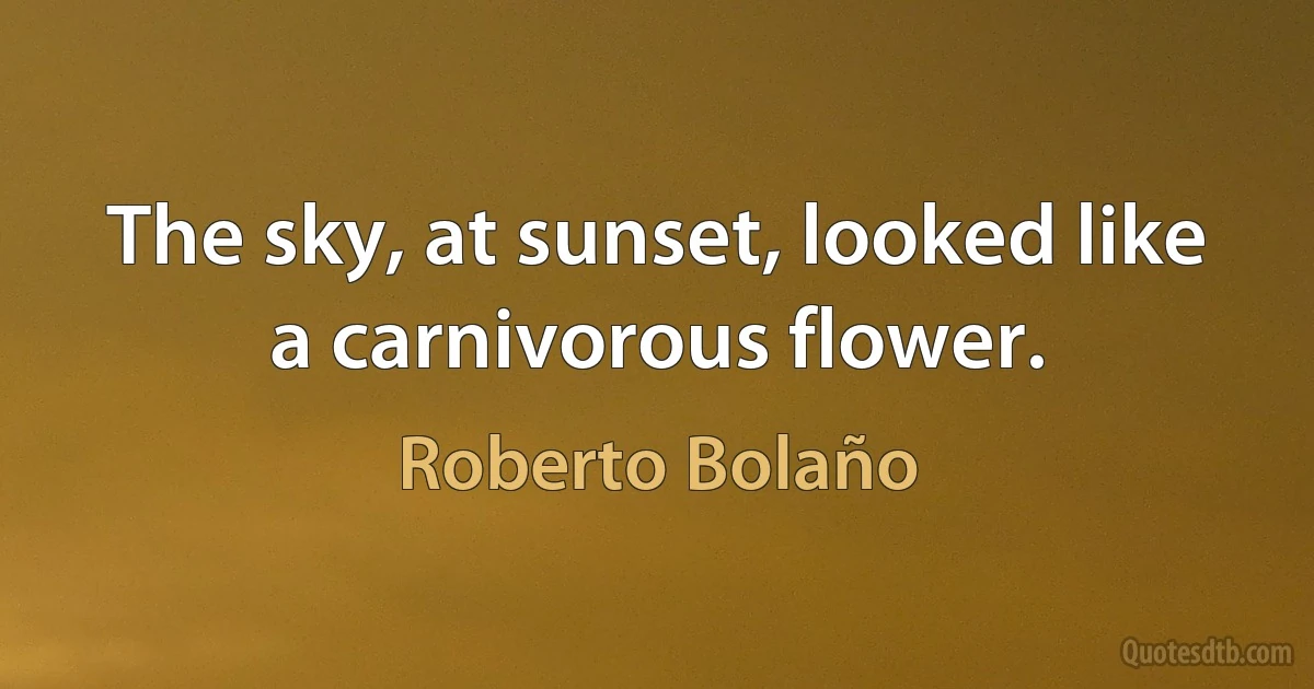 The sky, at sunset, looked like a carnivorous flower. (Roberto Bolaño)