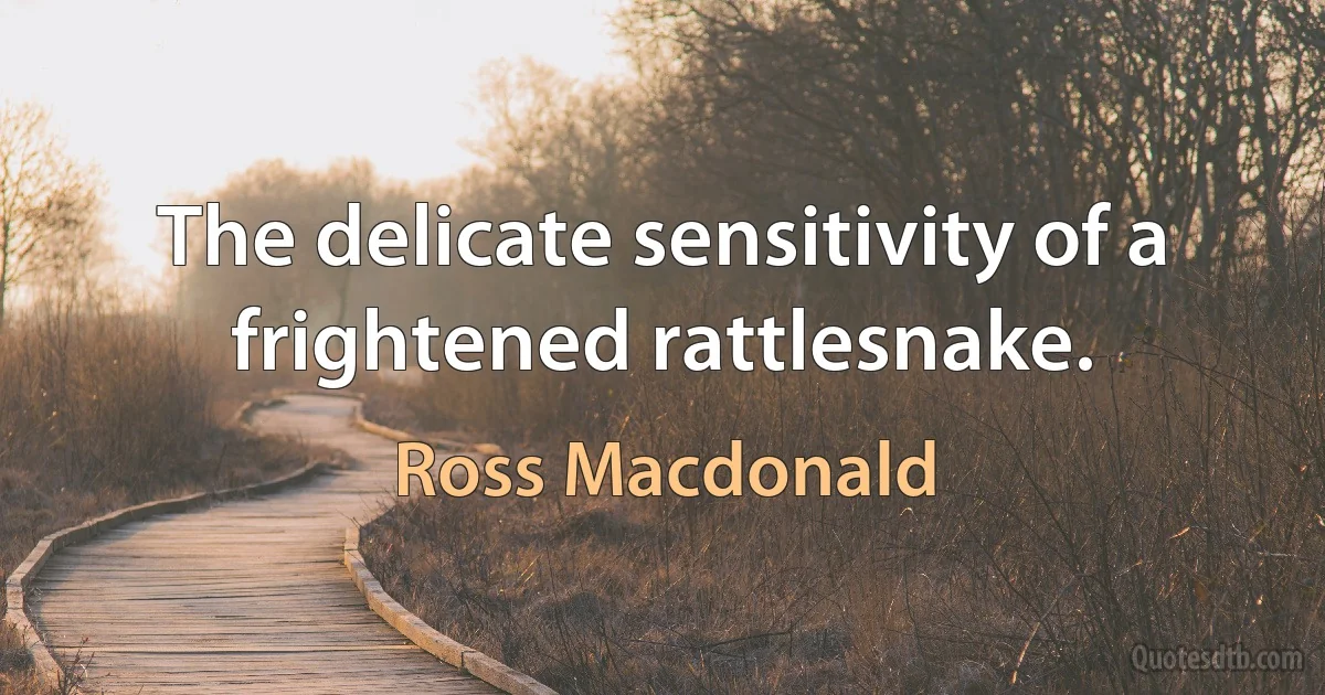 The delicate sensitivity of a frightened rattlesnake. (Ross Macdonald)