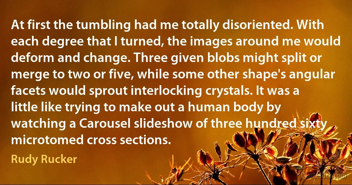 At first the tumbling had me totally disoriented. With each degree that I turned, the images around me would deform and change. Three given blobs might split or merge to two or five, while some other shape's angular facets would sprout interlocking crystals. It was a little like trying to make out a human body by watching a Carousel slideshow of three hundred sixty microtomed cross sections. (Rudy Rucker)