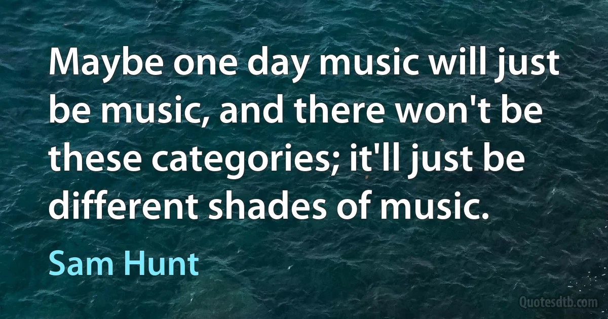 Maybe one day music will just be music, and there won't be these categories; it'll just be different shades of music. (Sam Hunt)