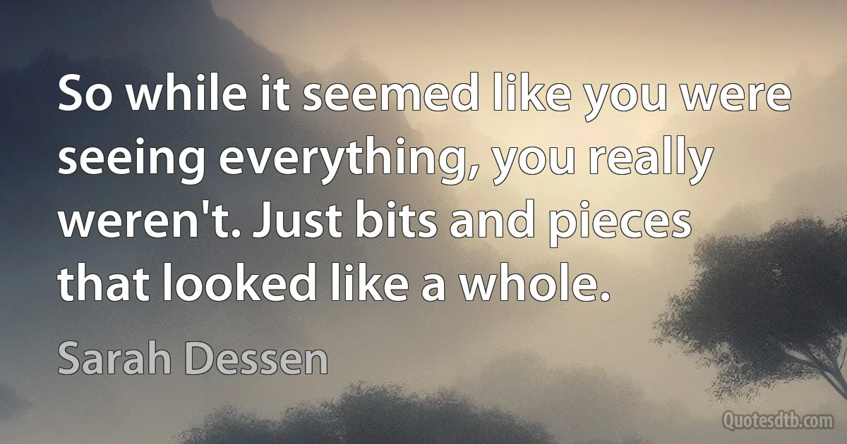 So while it seemed like you were seeing everything, you really weren't. Just bits and pieces that looked like a whole. (Sarah Dessen)