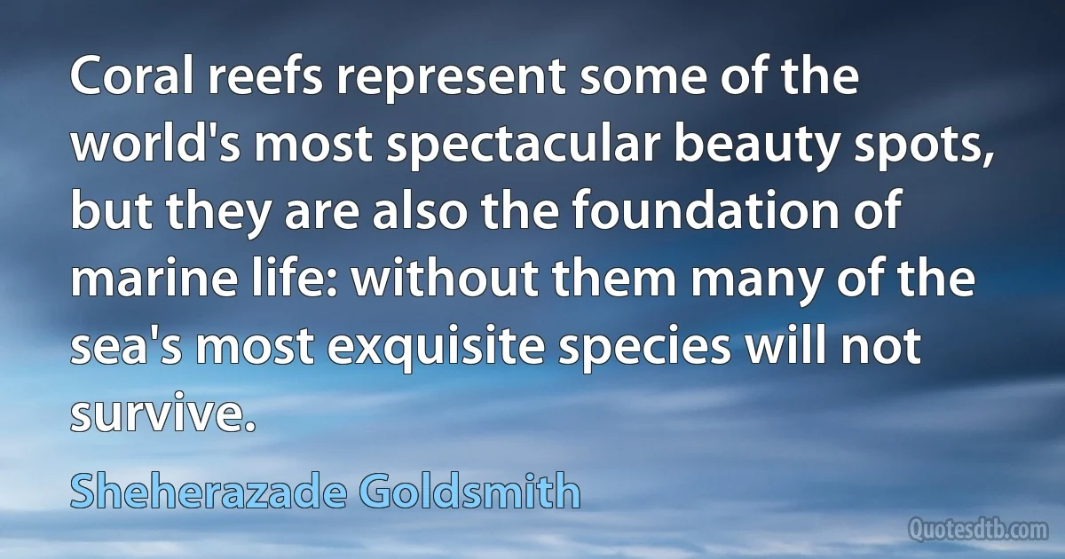 Coral reefs represent some of the world's most spectacular beauty spots, but they are also the foundation of marine life: without them many of the sea's most exquisite species will not survive. (Sheherazade Goldsmith)