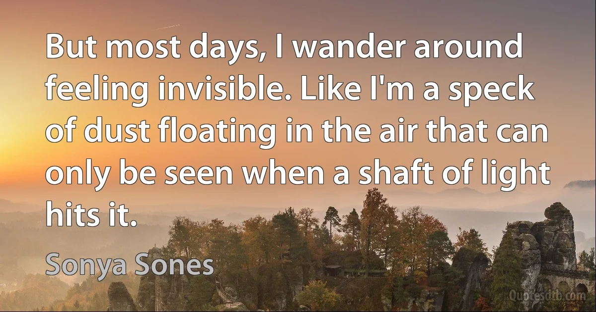 But most days, I wander around feeling invisible. Like I'm a speck of dust floating in the air that can only be seen when a shaft of light hits it. (Sonya Sones)