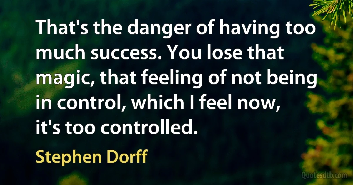 That's the danger of having too much success. You lose that magic, that feeling of not being in control, which I feel now, it's too controlled. (Stephen Dorff)