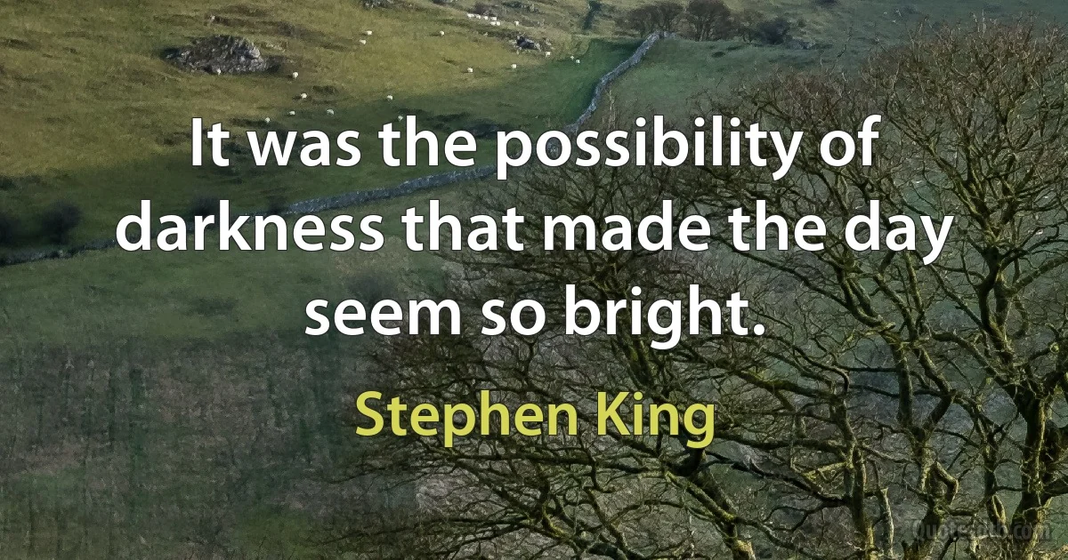 It was the possibility of darkness that made the day seem so bright. (Stephen King)