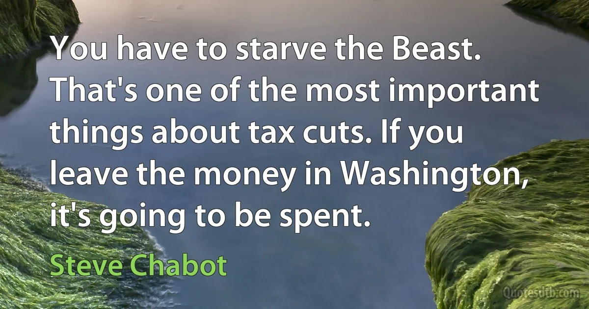 You have to starve the Beast. That's one of the most important things about tax cuts. If you leave the money in Washington, it's going to be spent. (Steve Chabot)