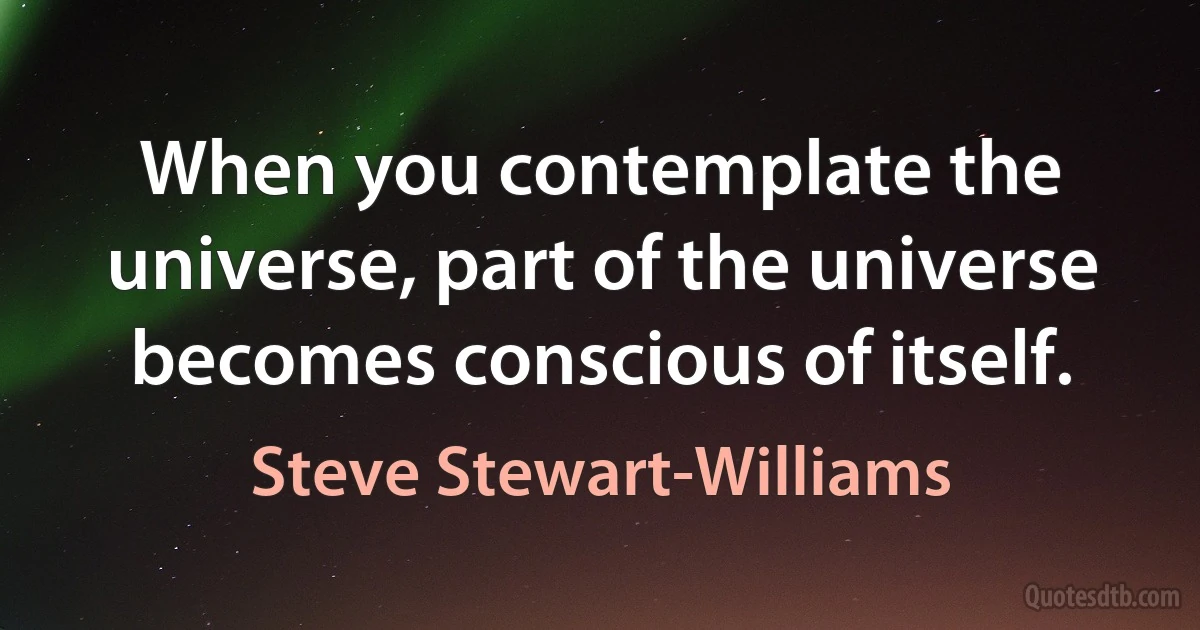 When you contemplate the universe, part of the universe becomes conscious of itself. (Steve Stewart-Williams)