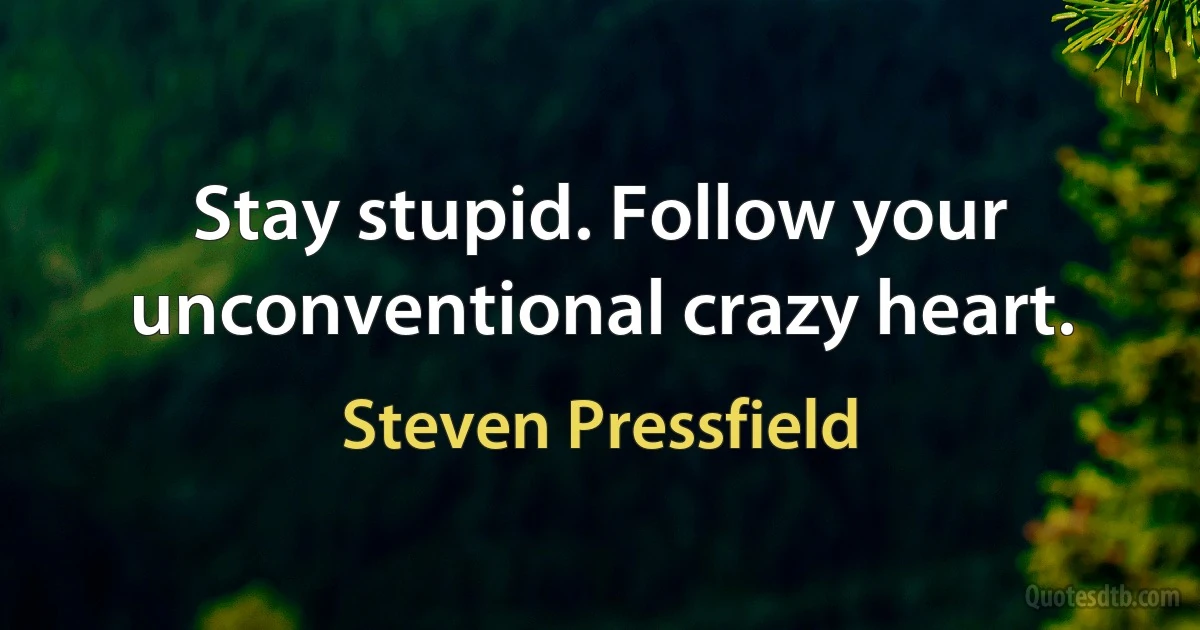 Stay stupid. Follow your unconventional crazy heart. (Steven Pressfield)