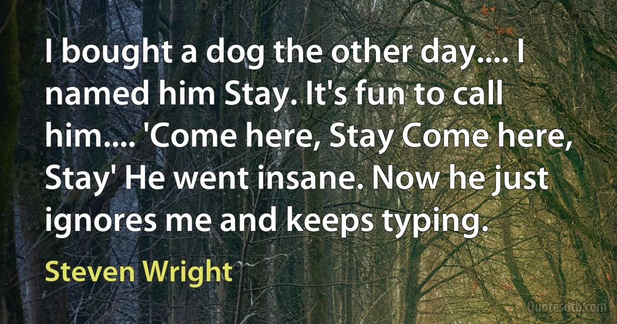 I bought a dog the other day.... I named him Stay. It's fun to call him.... 'Come here, Stay Come here, Stay' He went insane. Now he just ignores me and keeps typing. (Steven Wright)