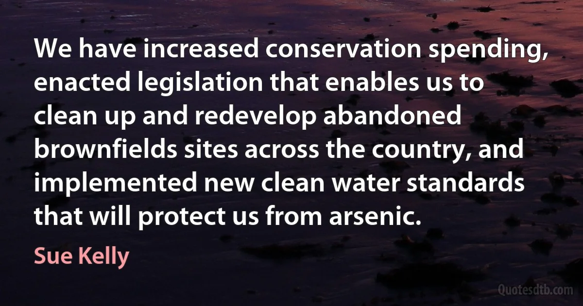 We have increased conservation spending, enacted legislation that enables us to clean up and redevelop abandoned brownfields sites across the country, and implemented new clean water standards that will protect us from arsenic. (Sue Kelly)