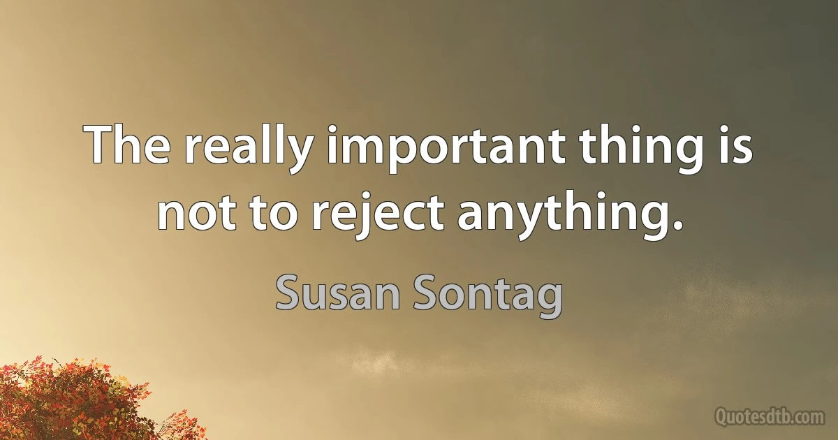 The really important thing is not to reject anything. (Susan Sontag)