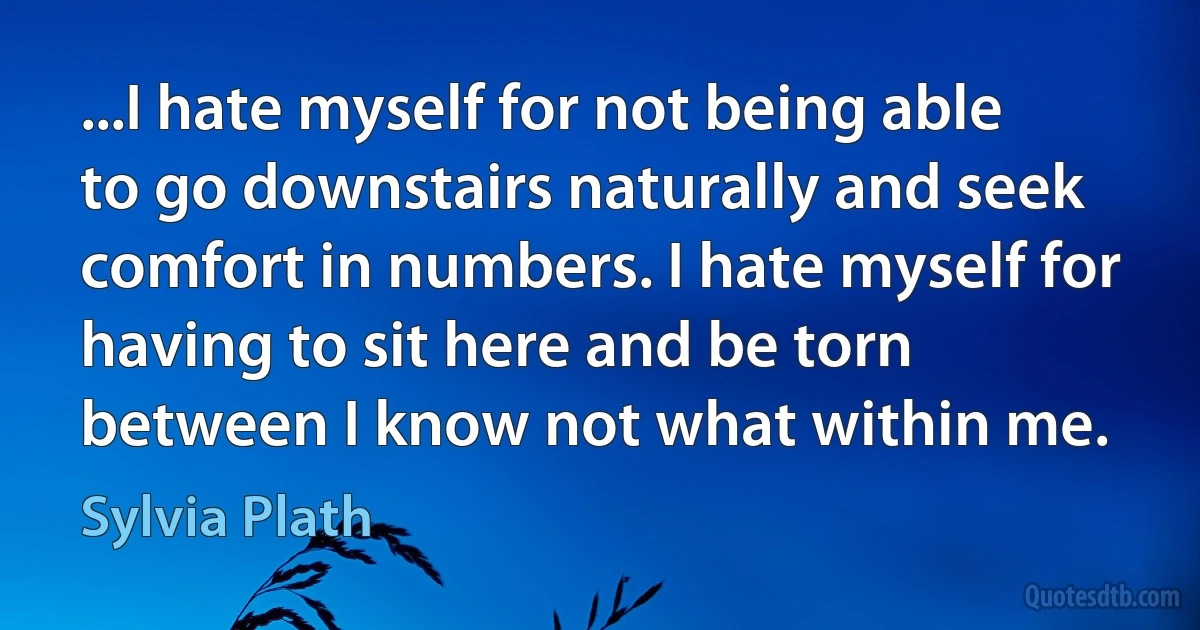 ...I hate myself for not being able to go downstairs naturally and seek comfort in numbers. I hate myself for having to sit here and be torn between I know not what within me. (Sylvia Plath)