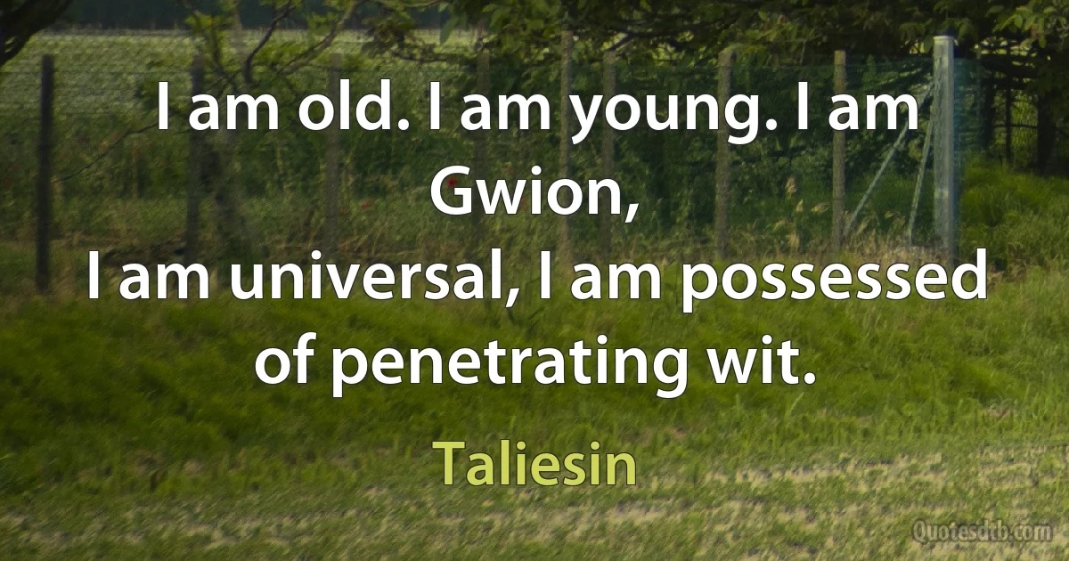 I am old. I am young. I am Gwion,
I am universal, I am possessed of penetrating wit. (Taliesin)