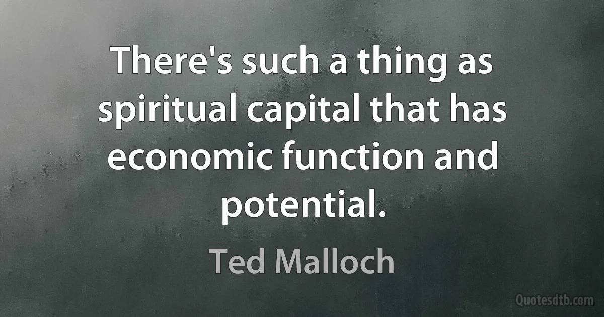 There's such a thing as spiritual capital that has economic function and potential. (Ted Malloch)