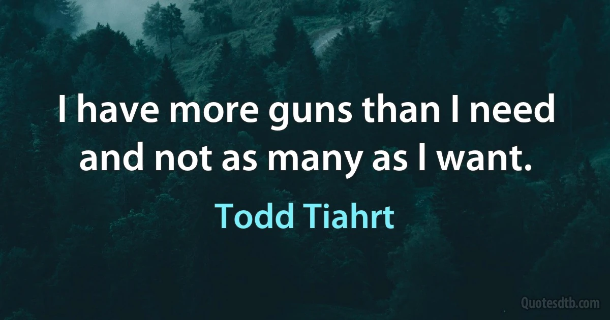 I have more guns than I need and not as many as I want. (Todd Tiahrt)