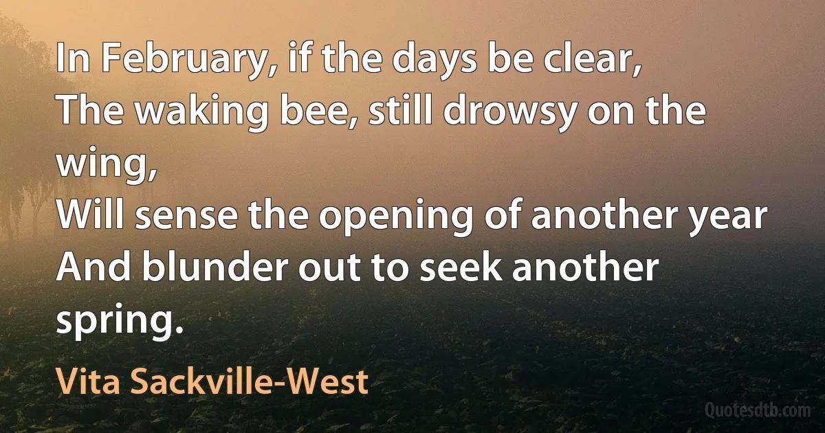 In February, if the days be clear,
The waking bee, still drowsy on the wing,
Will sense the opening of another year
And blunder out to seek another spring. (Vita Sackville-West)