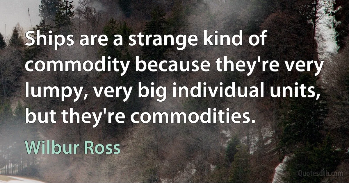 Ships are a strange kind of commodity because they're very lumpy, very big individual units, but they're commodities. (Wilbur Ross)