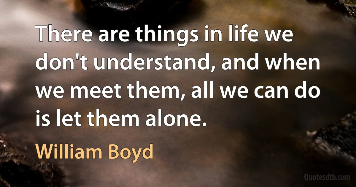 There are things in life we don't understand, and when we meet them, all we can do is let them alone. (William Boyd)