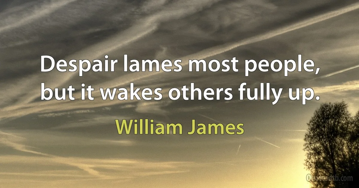 Despair lames most people, but it wakes others fully up. (William James)