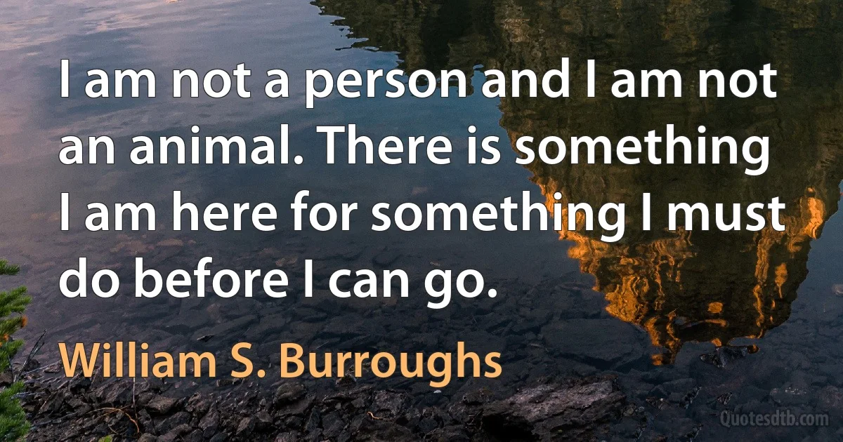 I am not a person and I am not an animal. There is something I am here for something I must do before I can go. (William S. Burroughs)