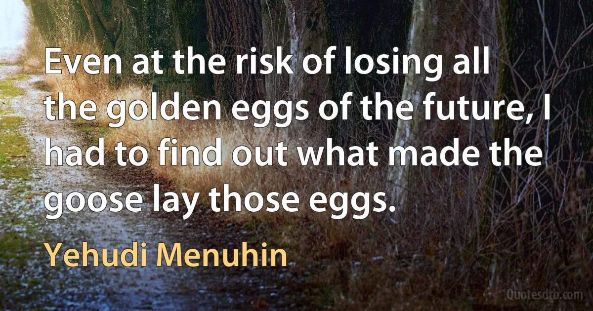 Even at the risk of losing all the golden eggs of the future, I had to find out what made the goose lay those eggs. (Yehudi Menuhin)