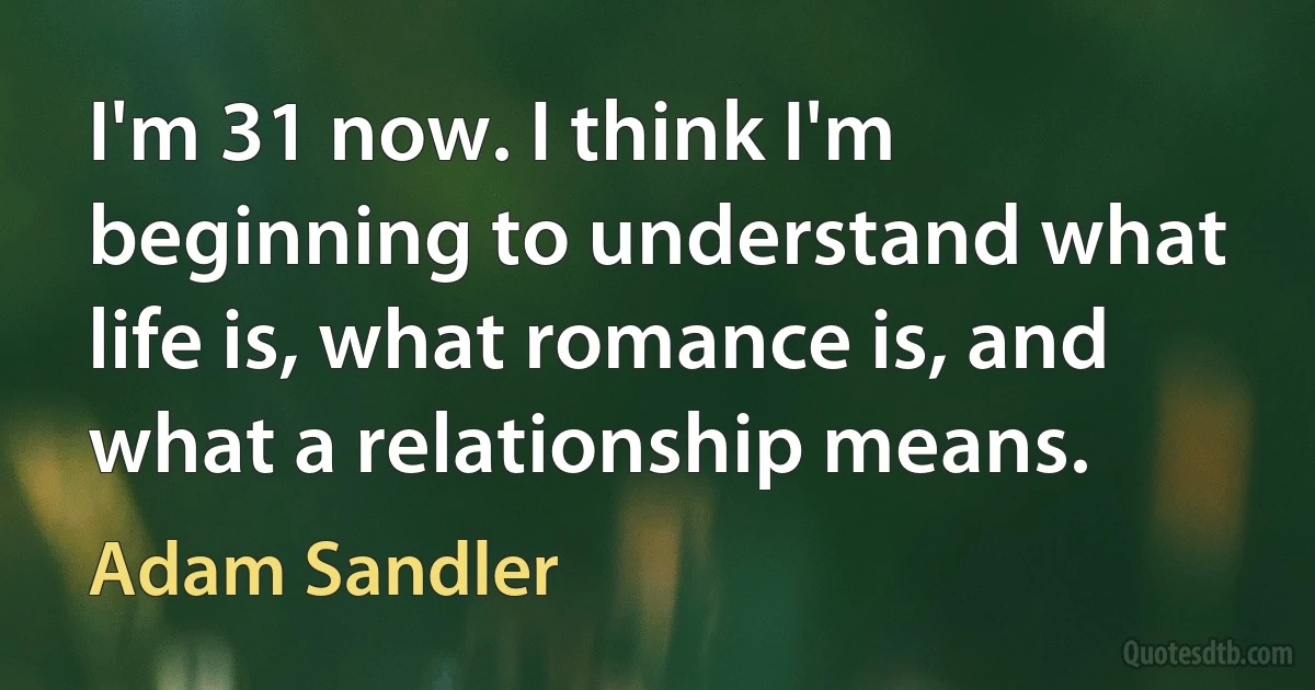 I'm 31 now. I think I'm beginning to understand what life is, what romance is, and what a relationship means. (Adam Sandler)