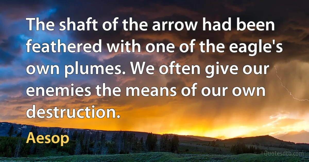 The shaft of the arrow had been feathered with one of the eagle's own plumes. We often give our enemies the means of our own destruction. (Aesop)