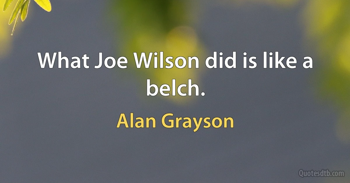 What Joe Wilson did is like a belch. (Alan Grayson)