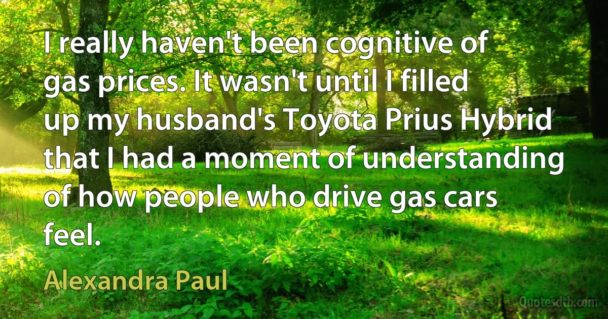 I really haven't been cognitive of gas prices. It wasn't until I filled up my husband's Toyota Prius Hybrid that I had a moment of understanding of how people who drive gas cars feel. (Alexandra Paul)